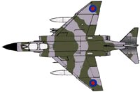 fgr2camo.gif (9038 bytes)